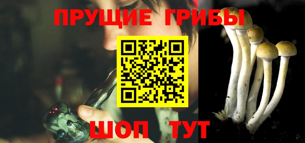 Псилоцибиновые грибы GOLDEN TEACHER Аксай